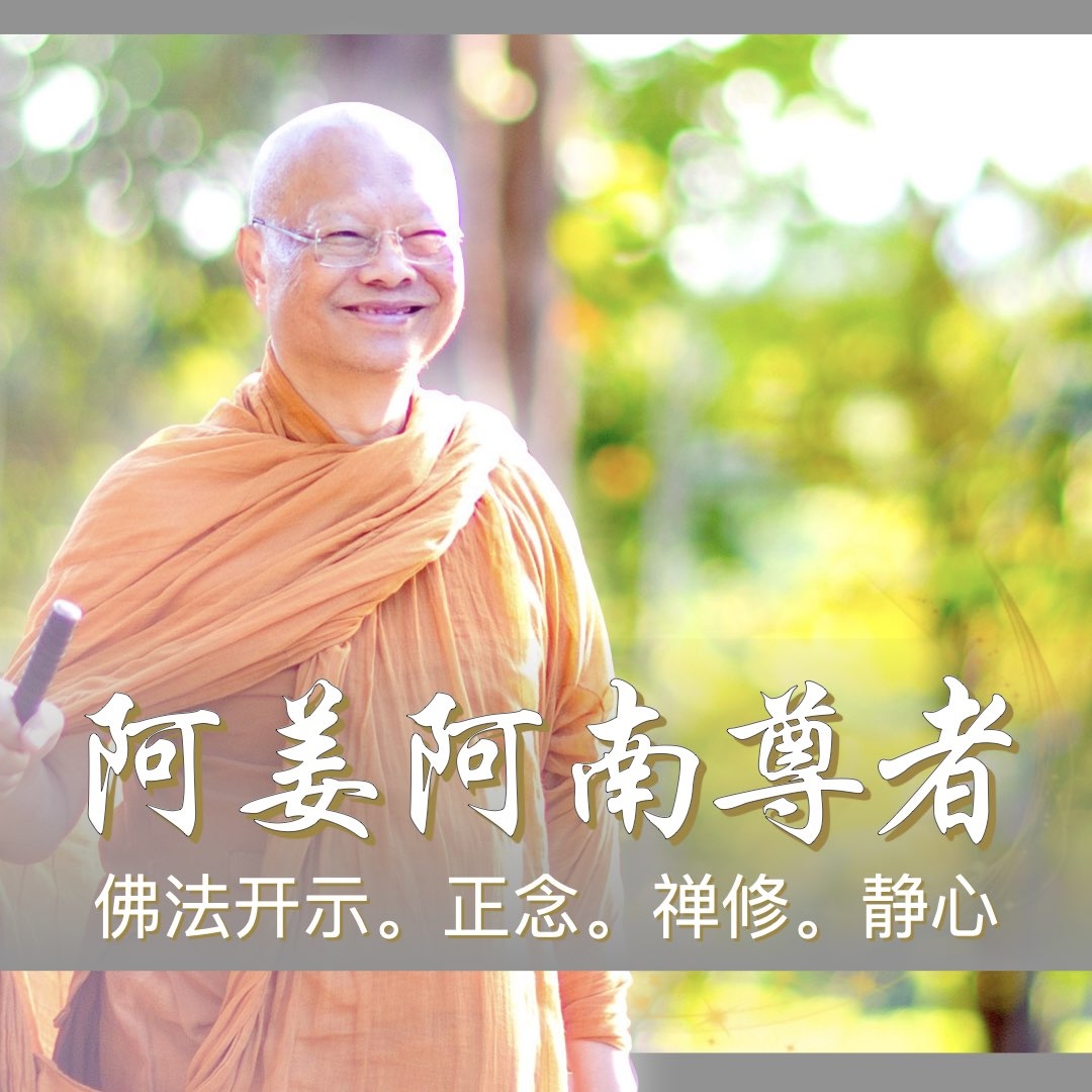 禅修指导 ｜ 阿姜阿南2024年2月禅修营开示